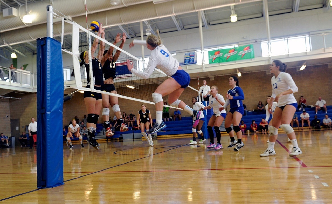 volleyball genouillères